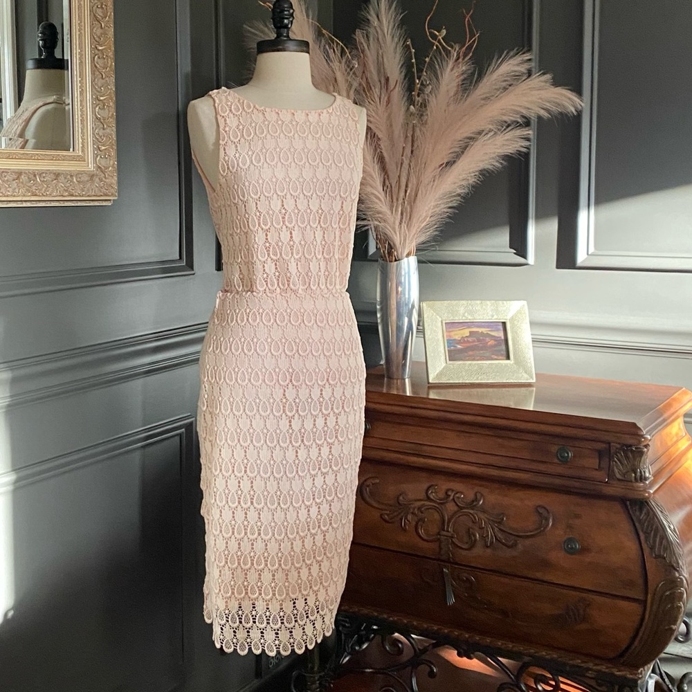 NWOT (2) Piece Ann Taylor Sexy Sophisticated Pineapple Lace Skirt Set size S